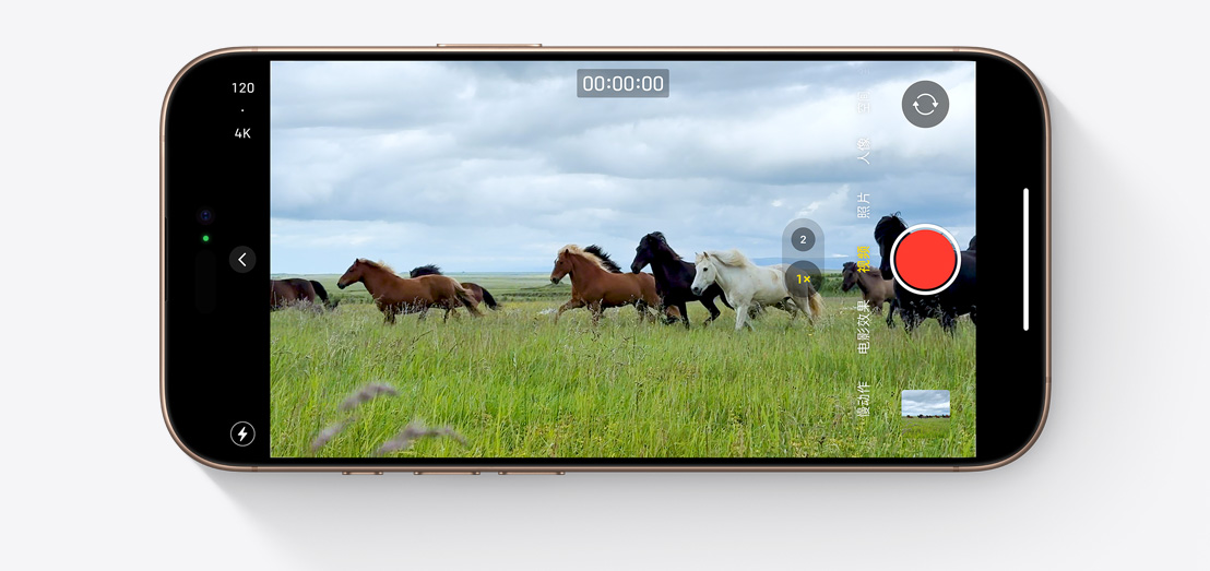 iPhone 16 Pro 上的相机 app，显示以 4K 120 fps 杜比视界格式拍摄马群奔跑视频时的静态屏幕画面。