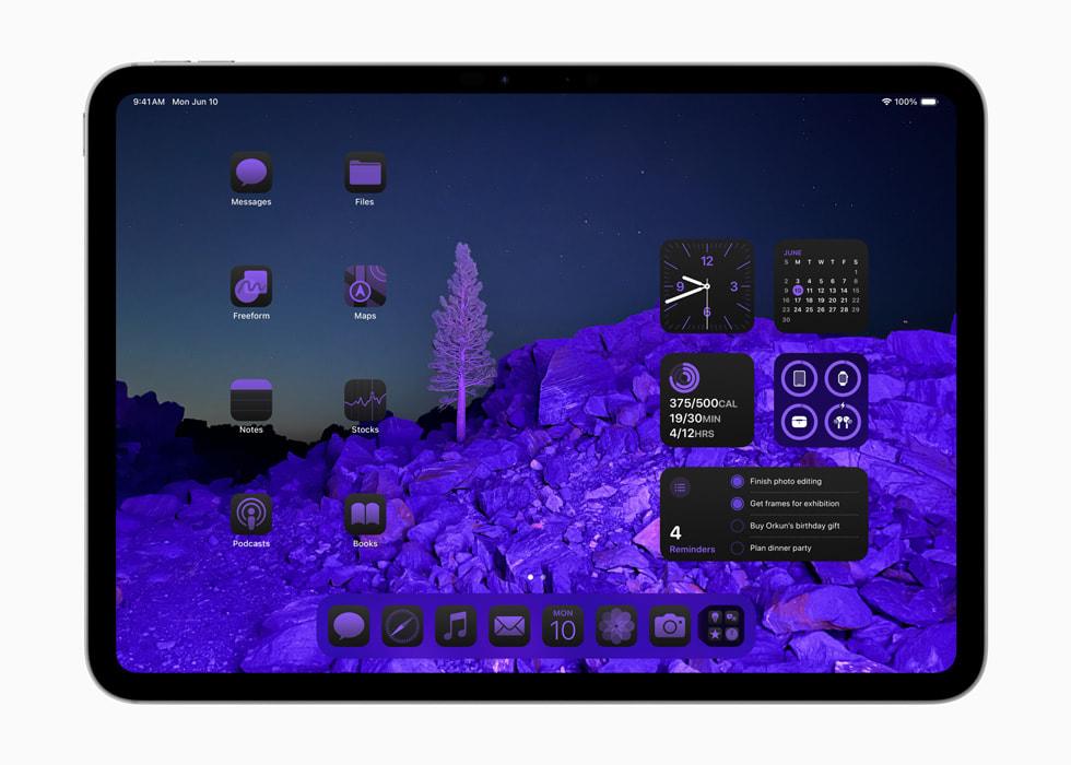 iPad Pro 上显示带有紫色色调效果的 app 图标和小组件围绕风景照片墙纸排布。 