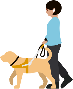一位低视力的女士佩戴 AirPods,牵着服务犬走路。